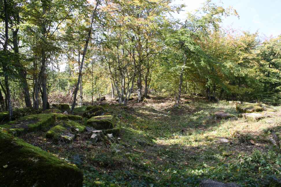 Nekropola sa stećcima Mramorje u Buđi, historijsko područje